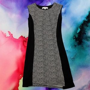 Adorable Black and White Dress Size Petite XXSP from Ann Taylor LOFT